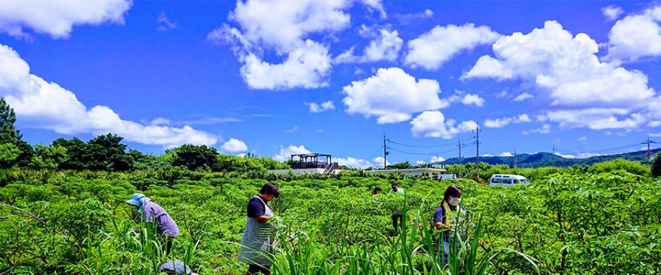 特別な支援を必要とされる方が社会の一員として毎日を生き生きと暮らせるように