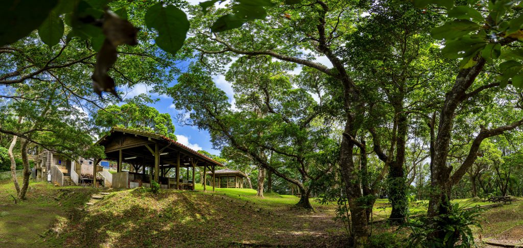 乙羽岳森林公園メインキャンプサイト