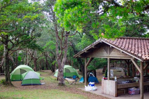 乙羽岳森林公園キャンプ場のメインキャンプサイト