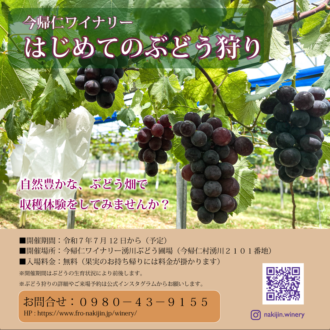 令和7年７月ぶどう狩りイベントチラシ